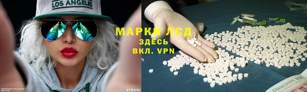 стафф Кодинск