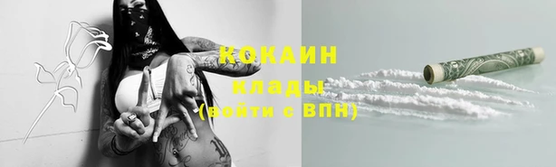 шишки Козельск