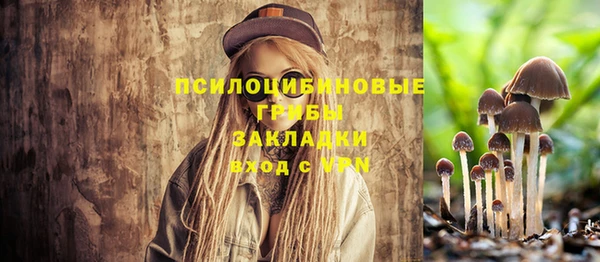 эйфоретик Балахна