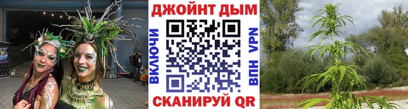 блэк спрут сайт  дарнет шоп  Новокубанск  Конопля планчик 